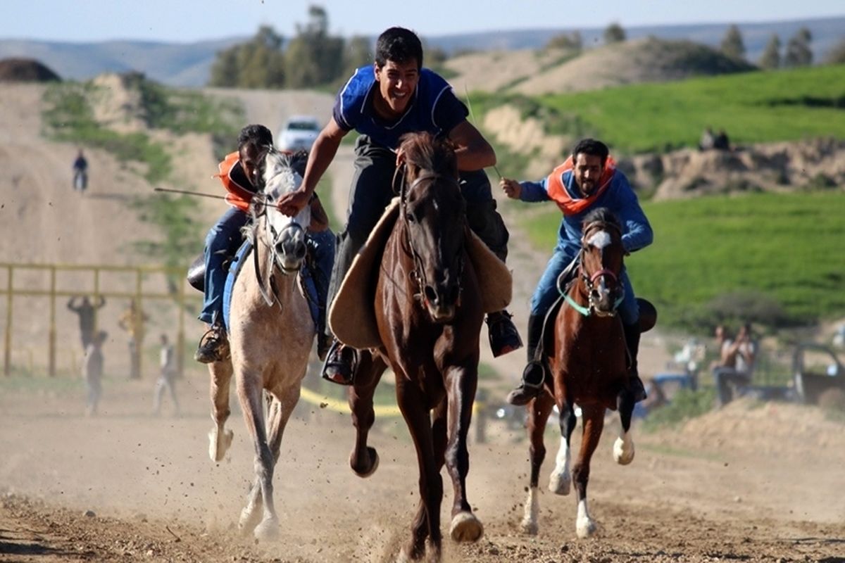 آماده سازی اسب ها برای سوارکاری استقامتی | مجموعه سوارکاری ماهان در شیراز