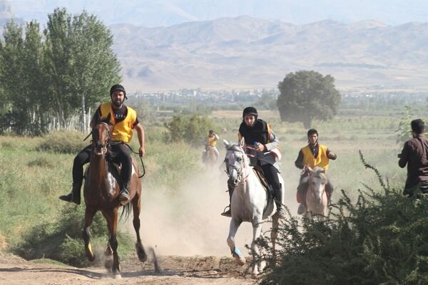 آماده سازی اسب ها برای سوارکاری استقامتی | مجموعه سوارکاری ماهان در شیراز