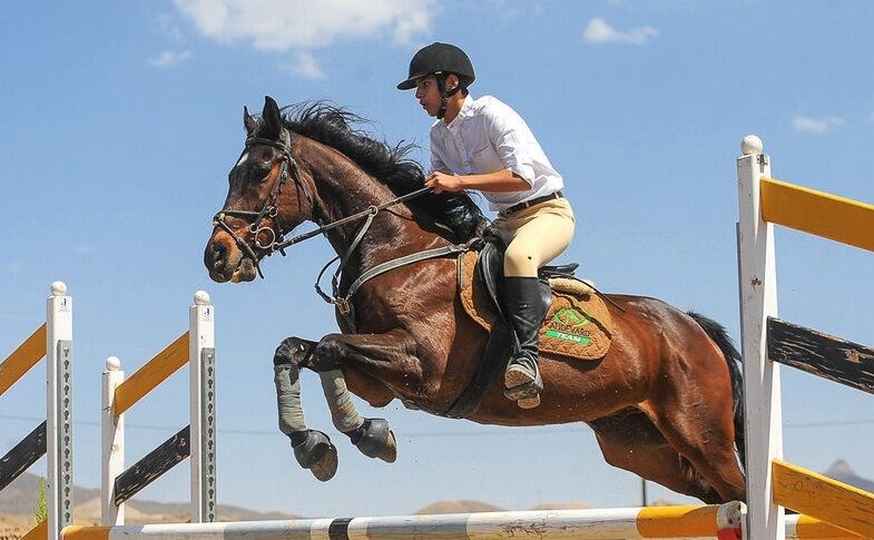 اموزش اسب سواری به کودکان در شیراز| باشگاه سوارکاری ماهان