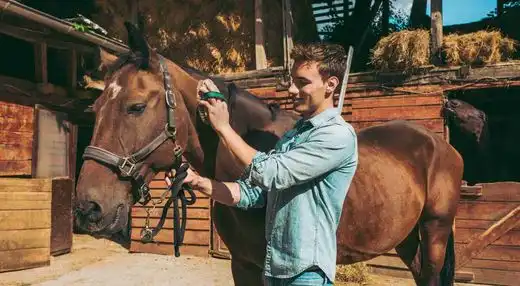 برقراری ارتباط با اسب| باشگاه سوار کاری ماهان