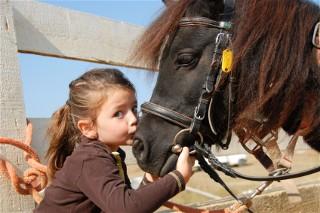 آموزش اسب سواری به کودکان