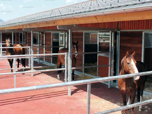 اصطبل استاندارد برای اسب ها